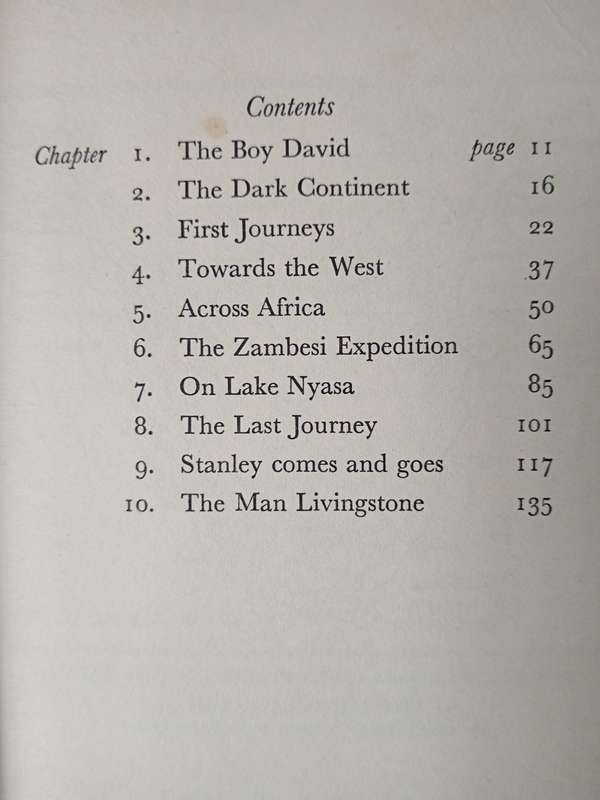 Lion of Africa by Patrick Pringle