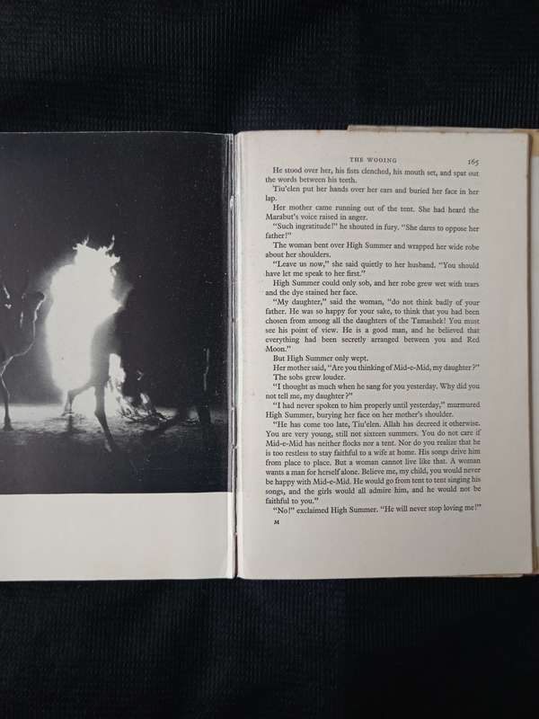 Red Moon & High Summer by Herbert Kaufmann Translated by Stella Humphries