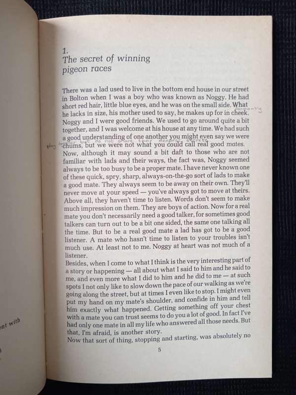 A Dog Called Nelson by Bill Naughton