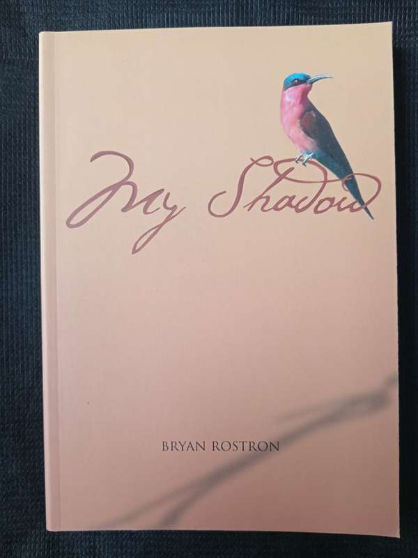 My Shadow by Bryan Rostron