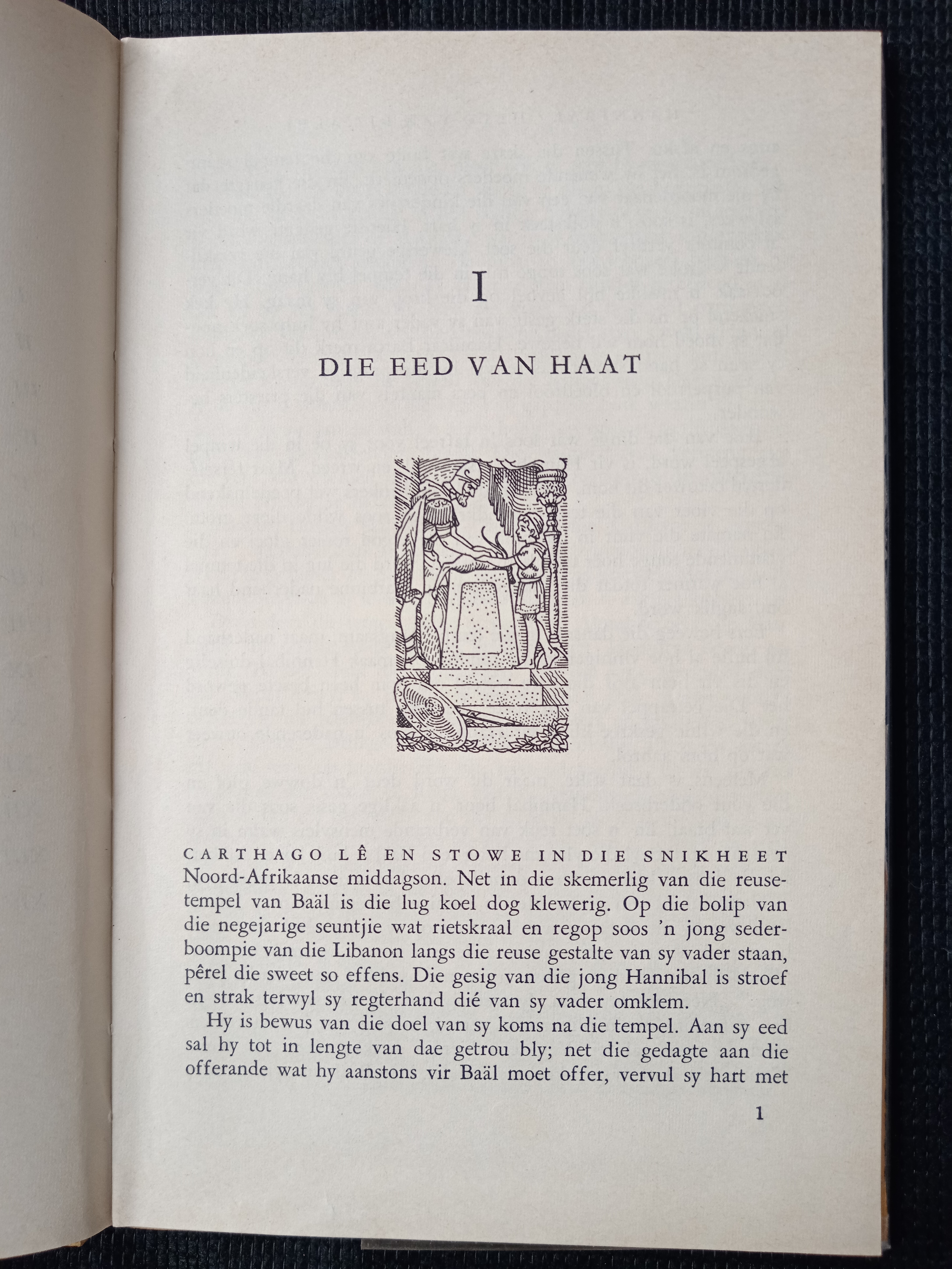 Hannibal Held van die Alpe by A P (Bertie) van Rensburg