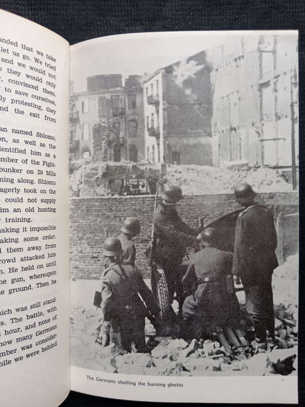Between Tumbling Walls by Tuvia Borzykowski Translated from Yiddish by Mendel Kohansky