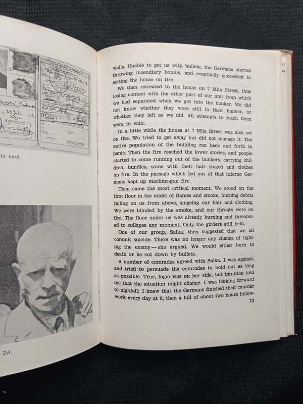 Between Tumbling Walls by Tuvia Borzykowski Translated from Yiddish by Mendel Kohansky