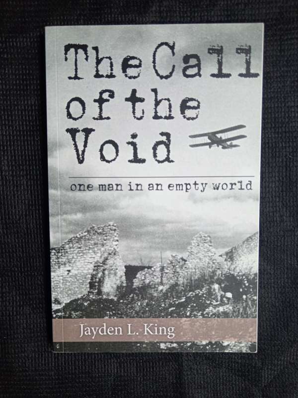 The Call of the Void by Jayden L King