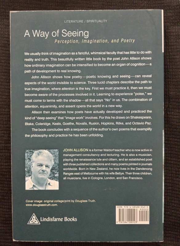 A Way of Seeing by John Allison