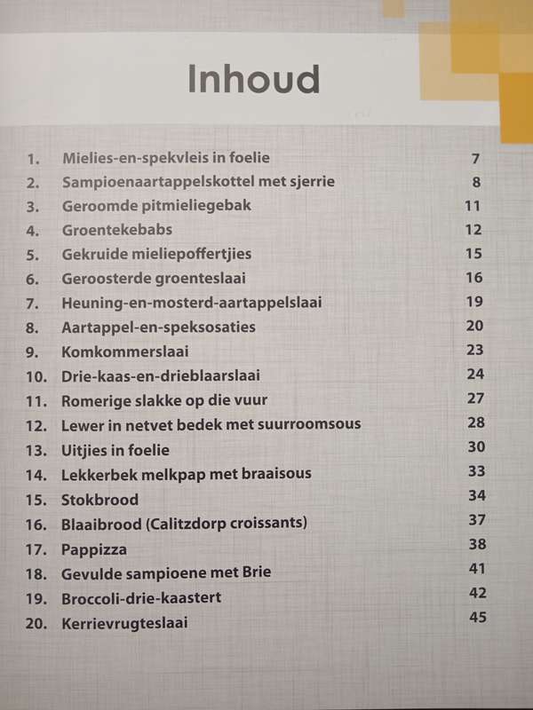 Lekker & Vinnig Braaigeregte