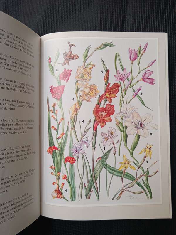 Eastern Cape by John Manning & Auriol Batten & Hertha Bokelmann