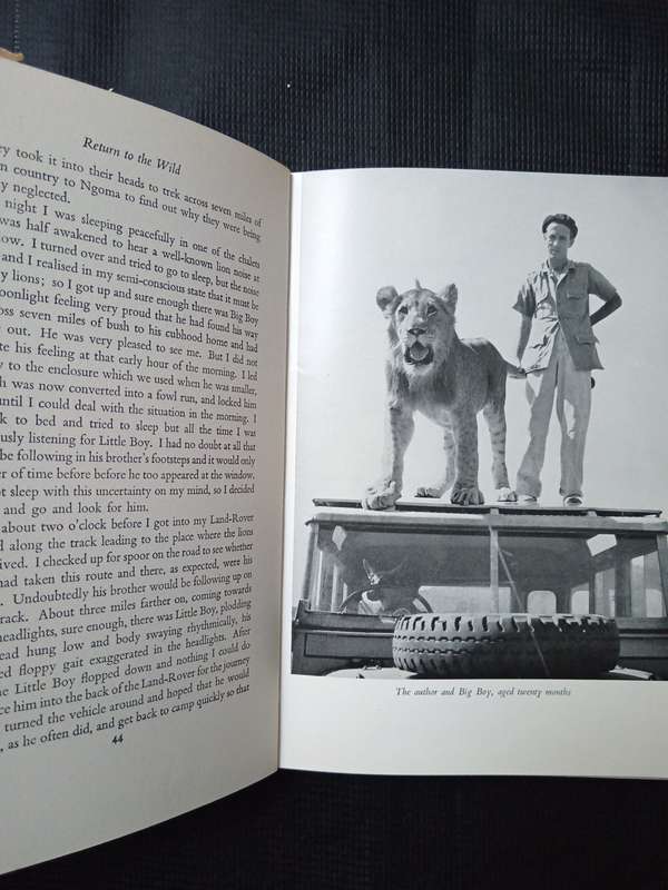 Return to the Wild by Norman Carr