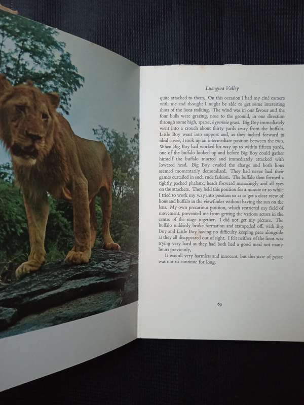 Return to the Wild by Norman Carr