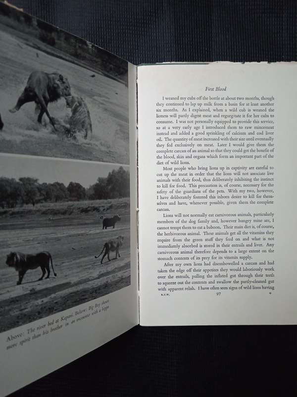 Return to the Wild by Norman Carr