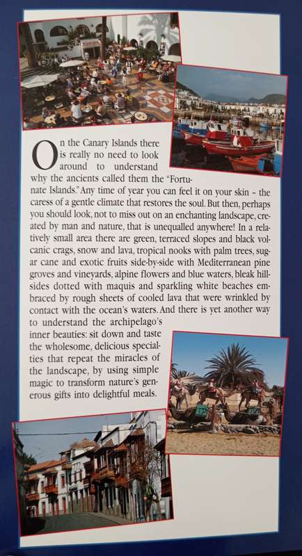Cooking in the Canary Islands by Julia Weiss(English Translation)