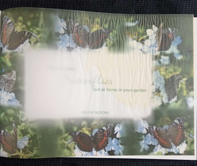 There's a Butterfly in my Garden by Lieveke Noyons