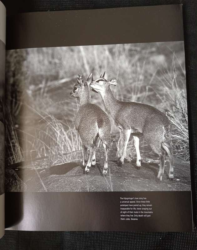 Impressions of Africa by Alain Pons & Philippe Huet