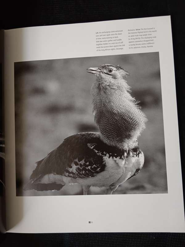 Impressions of Africa by Alain Pons & Philippe Huet