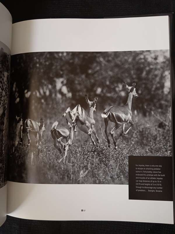 Impressions of Africa by Alain Pons & Philippe Huet