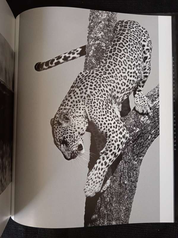 Impressions of Africa by Alain Pons & Philippe Huet