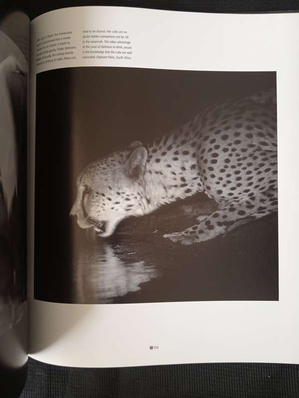 Impressions of Africa by Alain Pons & Philippe Huet