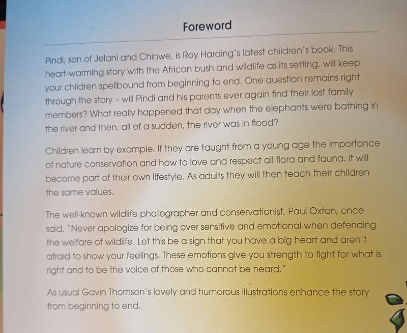 Pindi Don of Jelani & Chinwe by Roy Harding & Gavin Thomson