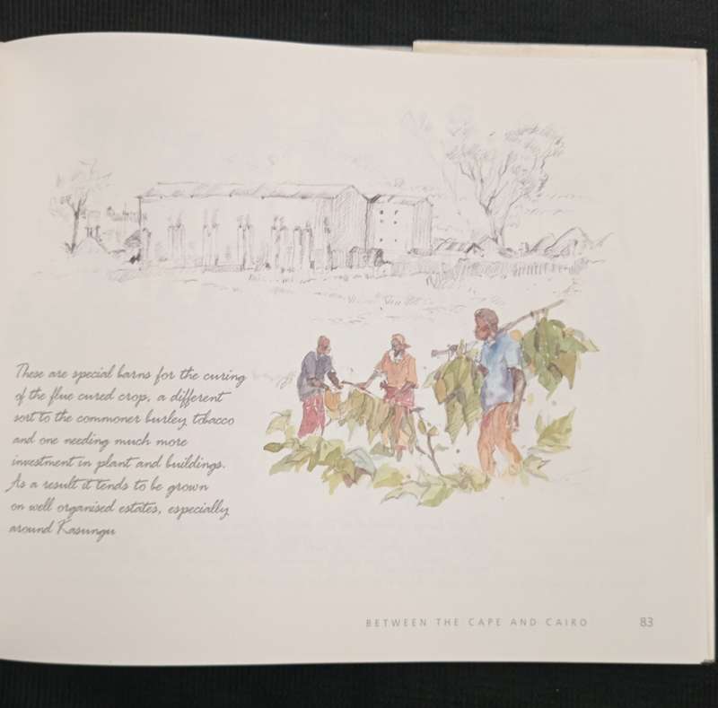 Between the Cape and Cairo Tony Grogan paints Malawi