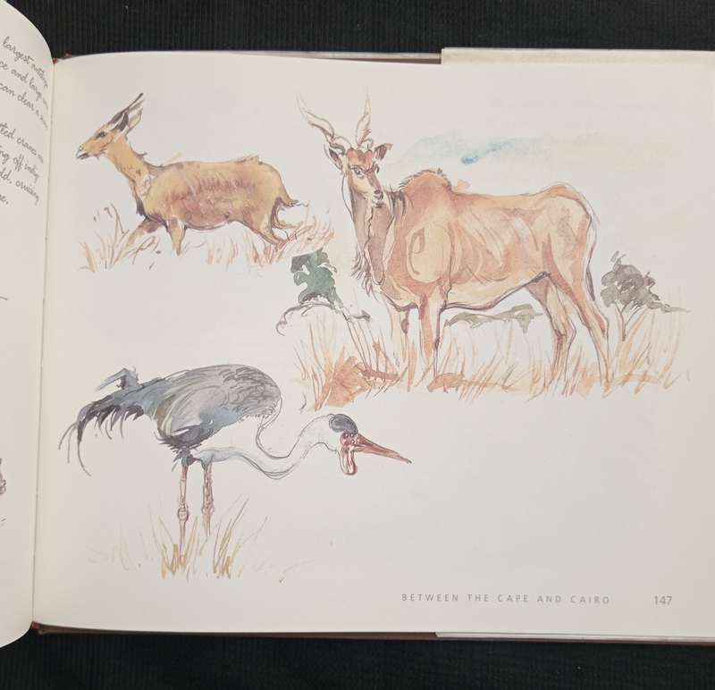 Between the Cape and Cairo Tony Grogan paints Malawi