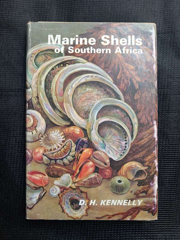 Marine Shells of Southern Africa by D H Kennelly