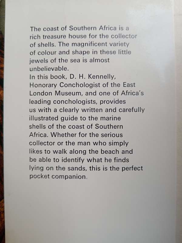 Marine Shells of Southern Africa by D H Kennelly