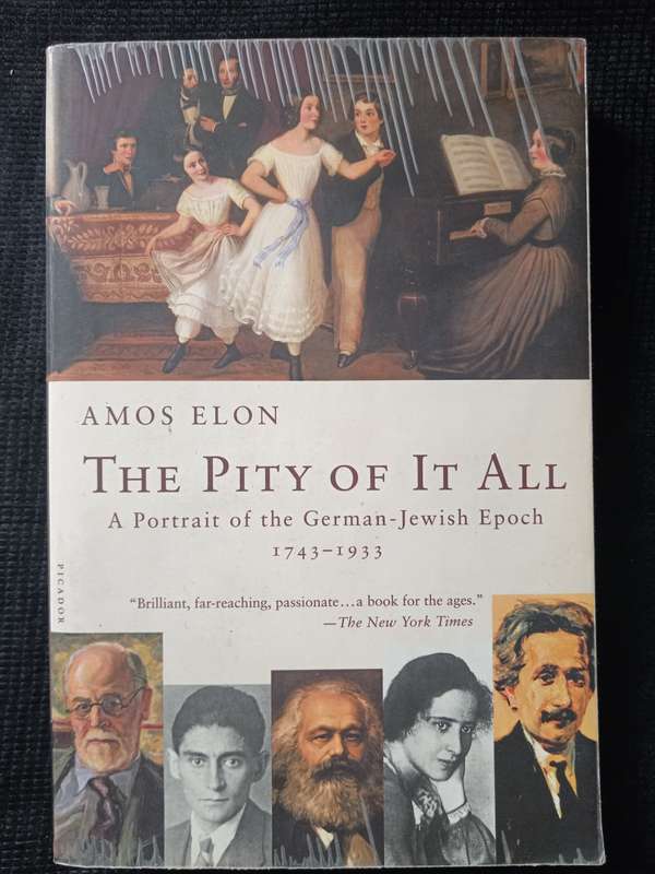 The Pity of it All by Amos Elon