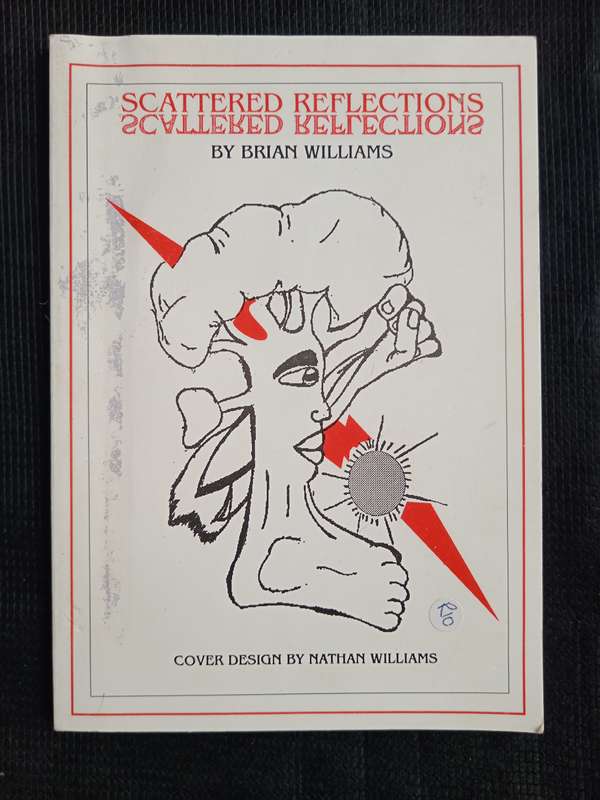 Scattered Reflections by Brian Williams