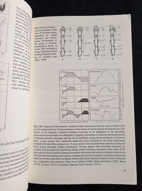 Physiological Plant Ecology by W Larcher