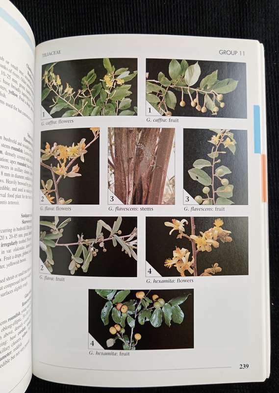 Field Guide to Trees of Southern Africa by Braam van Wyk & Piet van Wyk