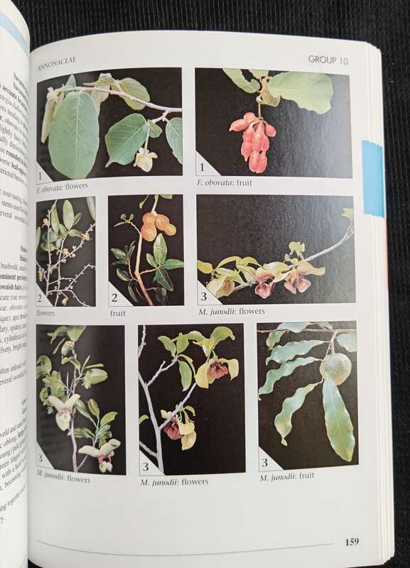Field Guide to Trees of Southern Africa by Braam van Wyk & Piet van Wyk