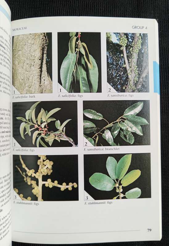 Field Guide to Trees of Southern Africa by Braam van Wyk & Piet van Wyk