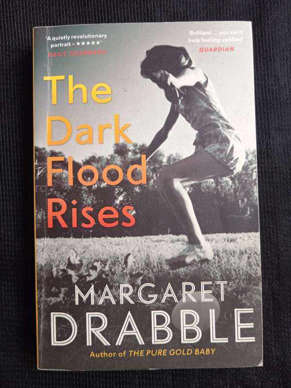 The Dark Flood Rises by Margaret Drabble