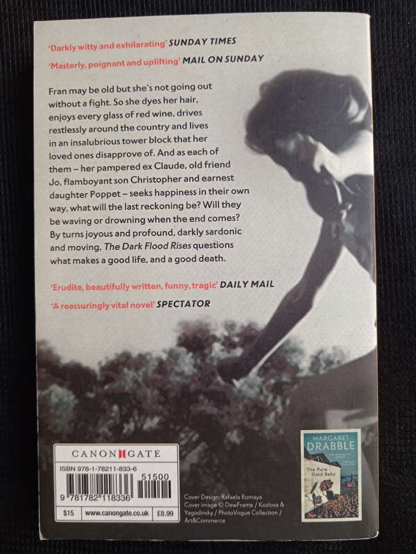 The Dark Flood Rises by Margaret Drabble