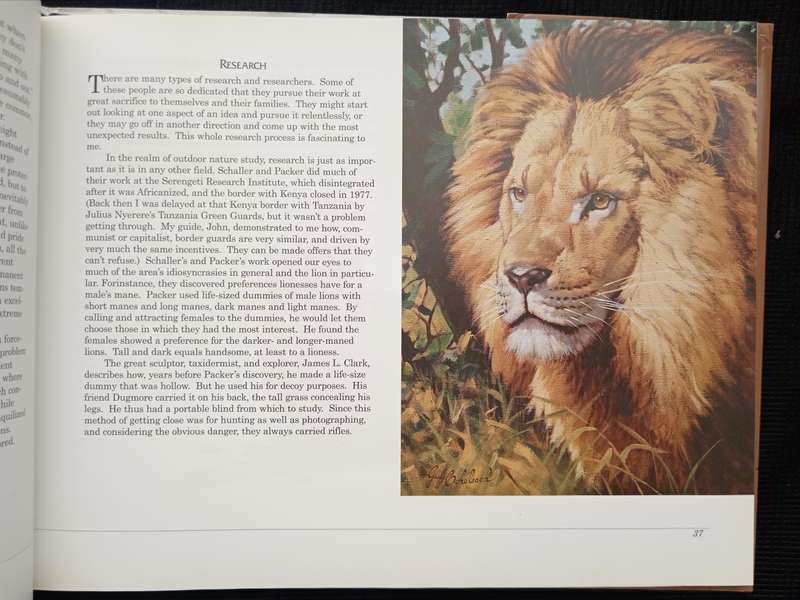 An African Lion as Man-Eater by Guy Coheleach Forward by Jack Nicklaus