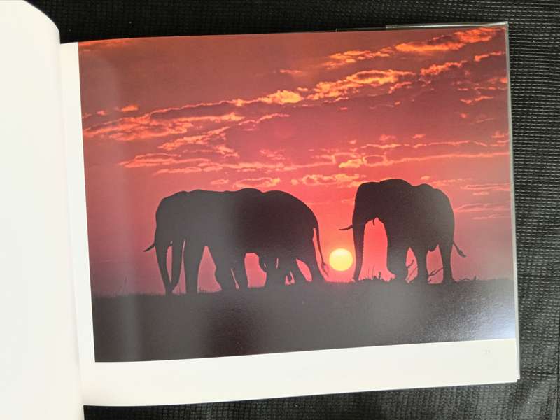 Bushveld Creatures by Richard du Toit