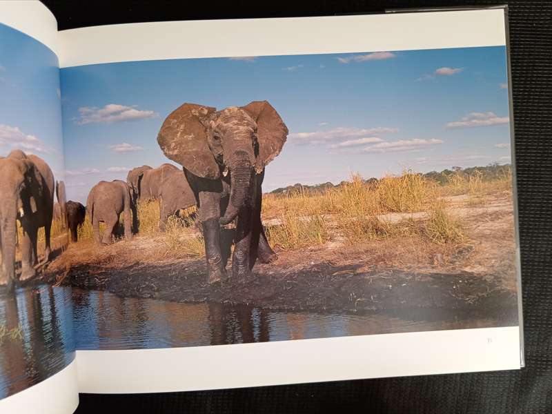 Bushveld Creatures by Richard du Toit