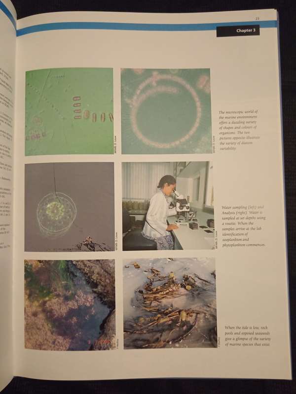 Namibia's Marine Environment Edited by Molly & Reinikainen