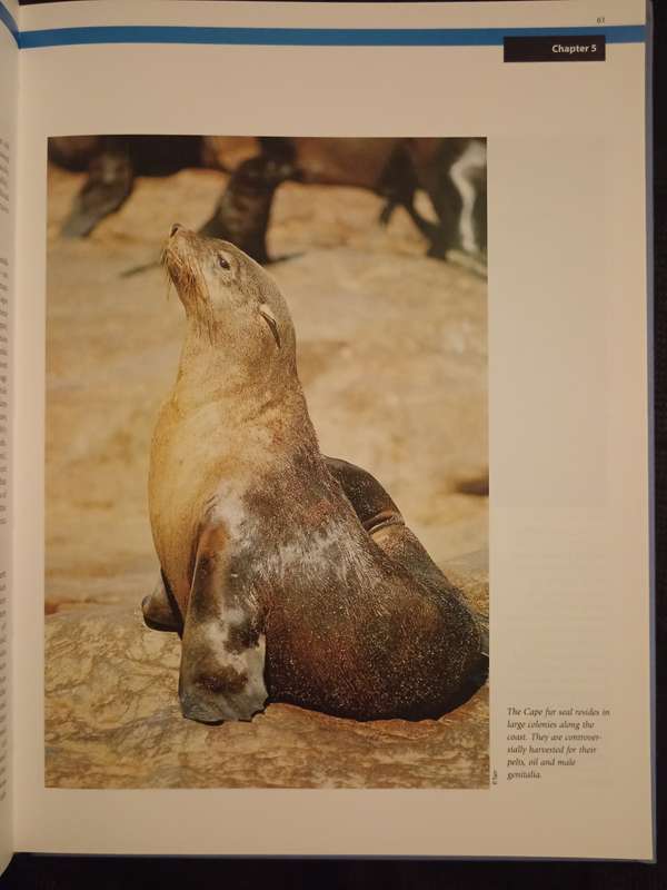 Namibia's Marine Environment Edited by Molly & Reinikainen