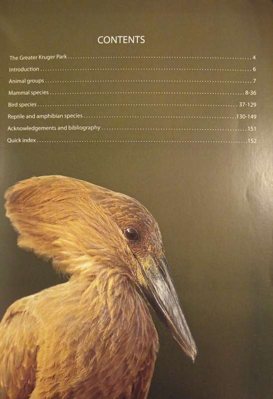 Animals of the Greater Kruger by Burger Cillié & Niel Cillié