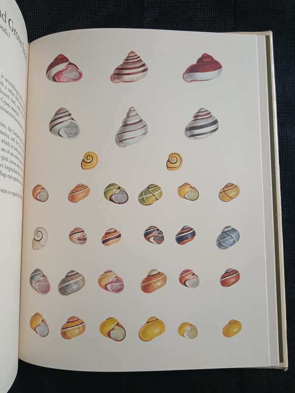Larousse Animal Portraits by P P Grassé