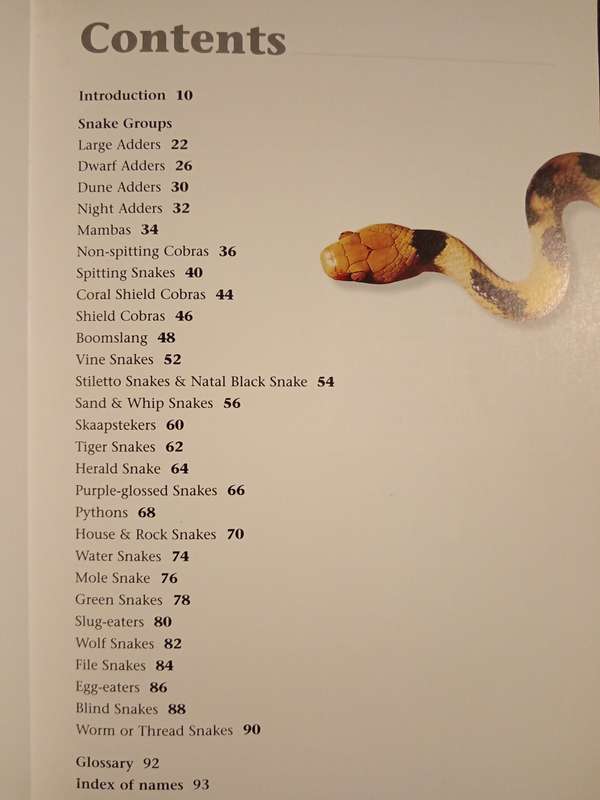 What's that Snake? by Johan Marais