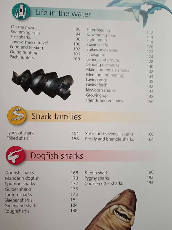 Encyclopedia of Sharks by Barbara Taylor