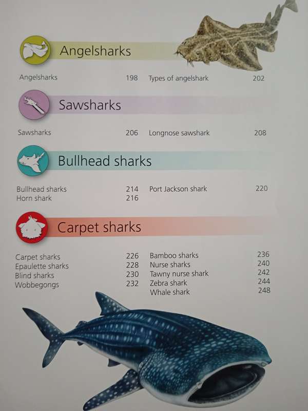 Encyclopedia of Sharks by Barbara Taylor