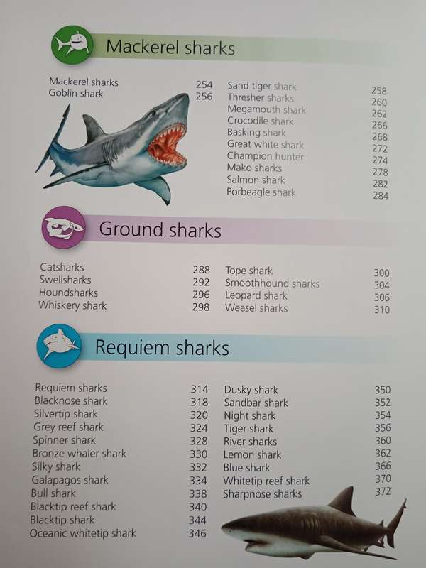 Encyclopedia of Sharks by Barbara Taylor
