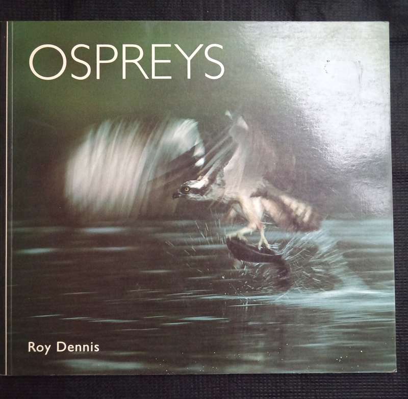 Ospreys by Roy Dennis
