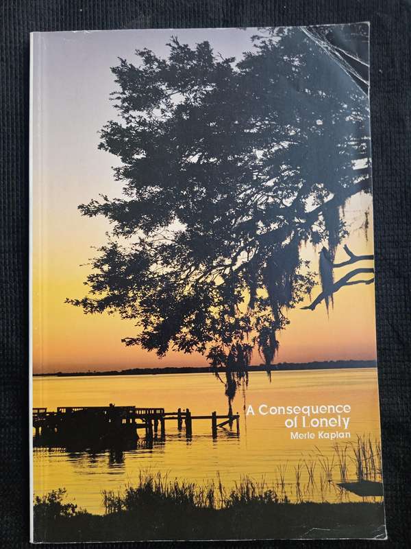 A Consequence of Lonely by Merle Kaplan