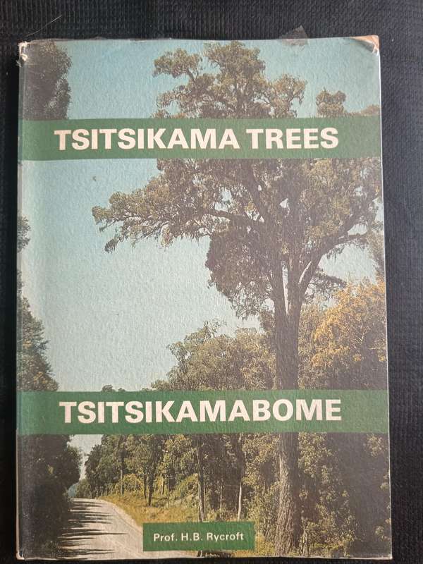 Tsitsikama Trees Tsitsikamabome by Prof H B Rycroft