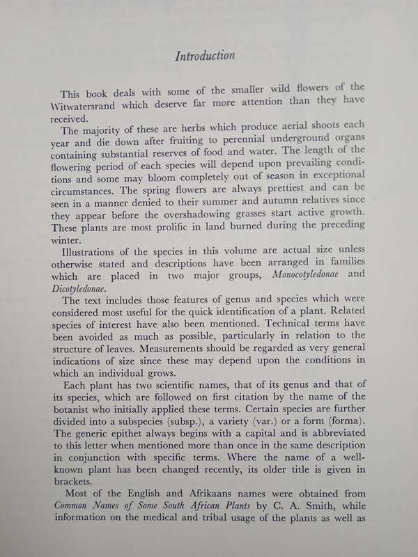 Wild Flowers of the Witwatersrand by Annabelle Lucas