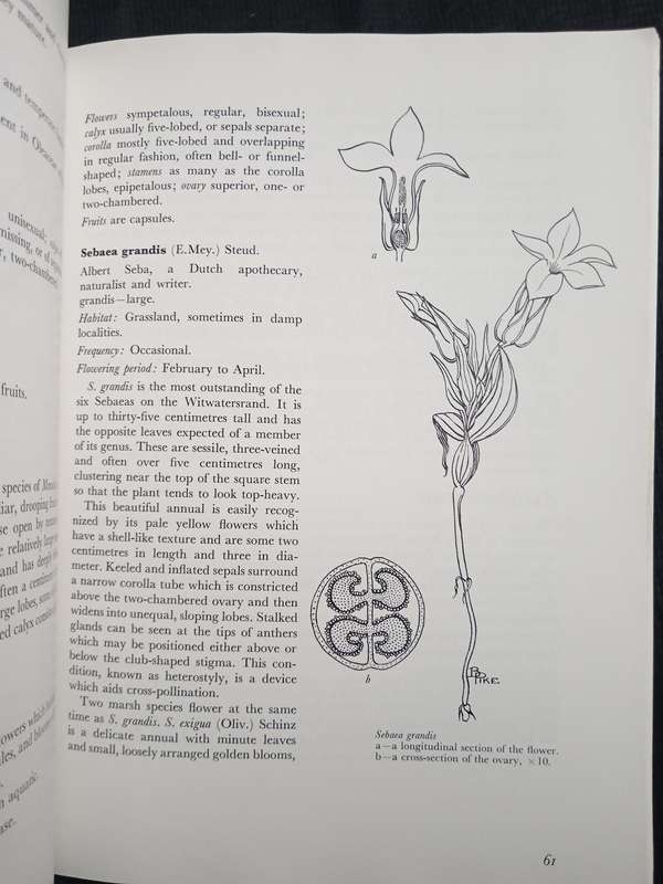 Wild Flowers of the Witwatersrand by Annabelle Lucas